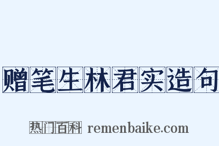赠笔生林君实造句是什么意思的图片